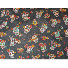 Coton "Calavera"